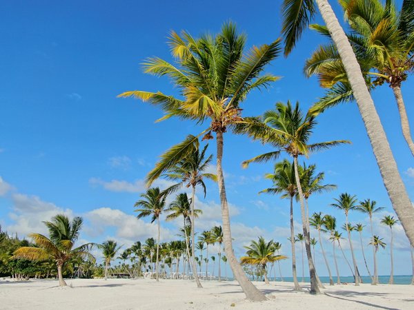 Uncovering Wales" Rich Mining Heritage: Top Destinations to Explore the History of the British Mining Industry