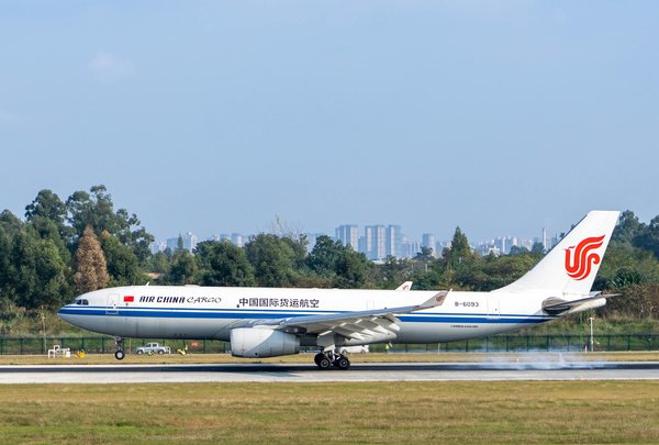 Unearth the isle of wight: unique holiday rentals with exclusive dinosaur fossil tours await!